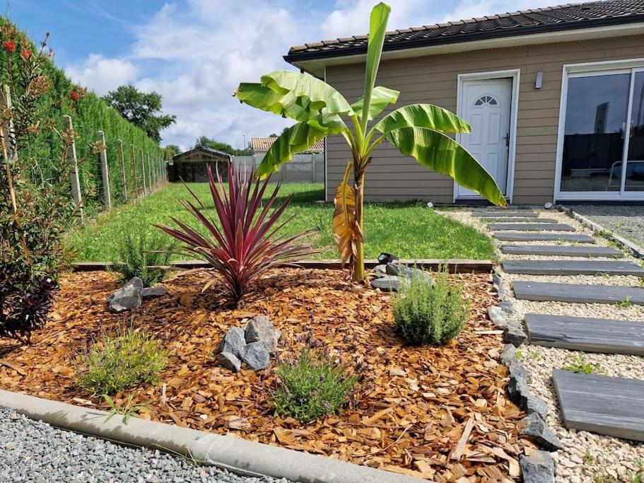 La Villa Des Pins Maison Standing 7 Pers Terre Et Mer Brach Екстериор снимка