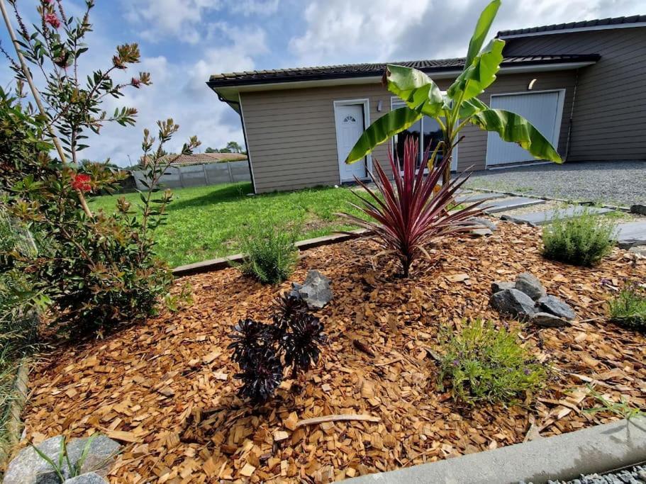 La Villa Des Pins Maison Standing 7 Pers Terre Et Mer Brach Екстериор снимка